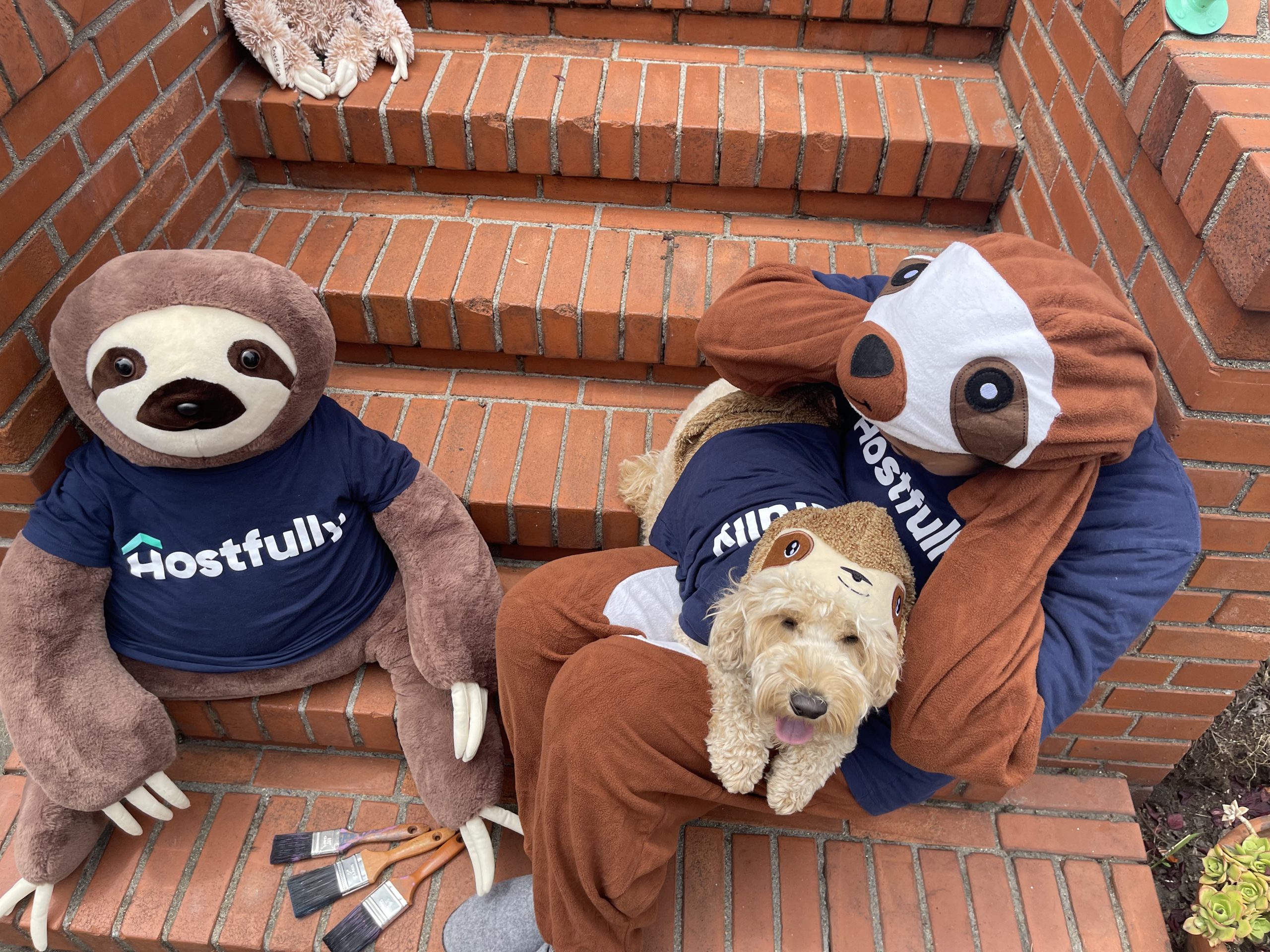 picture of flash with another sloth and dog